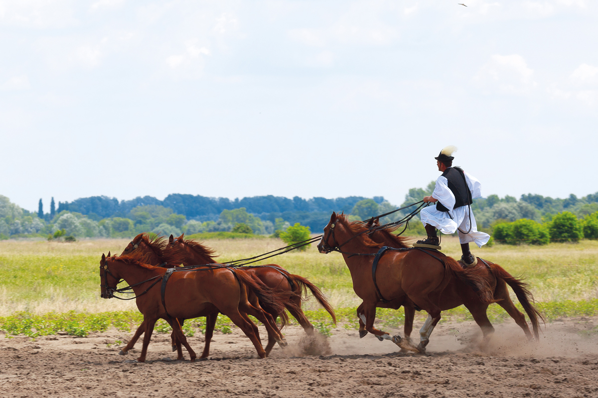 horse riding